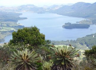 sembrar cenizas ser querido fallecido