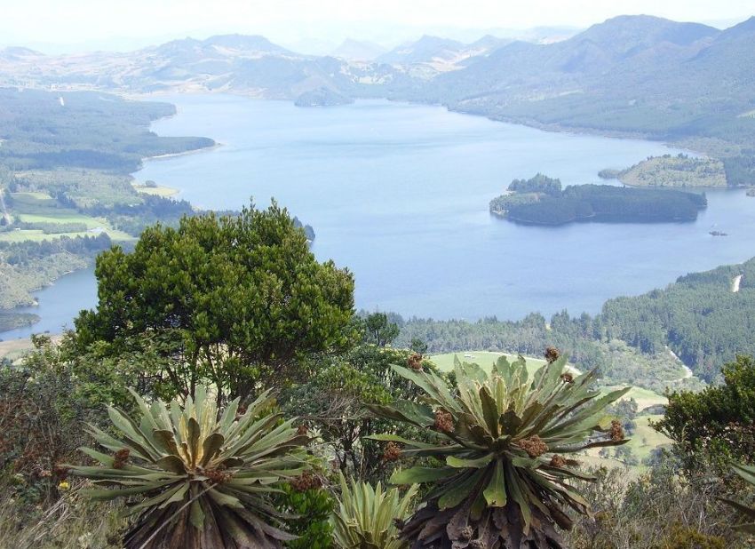 sembrar cenizas ser querido fallecido