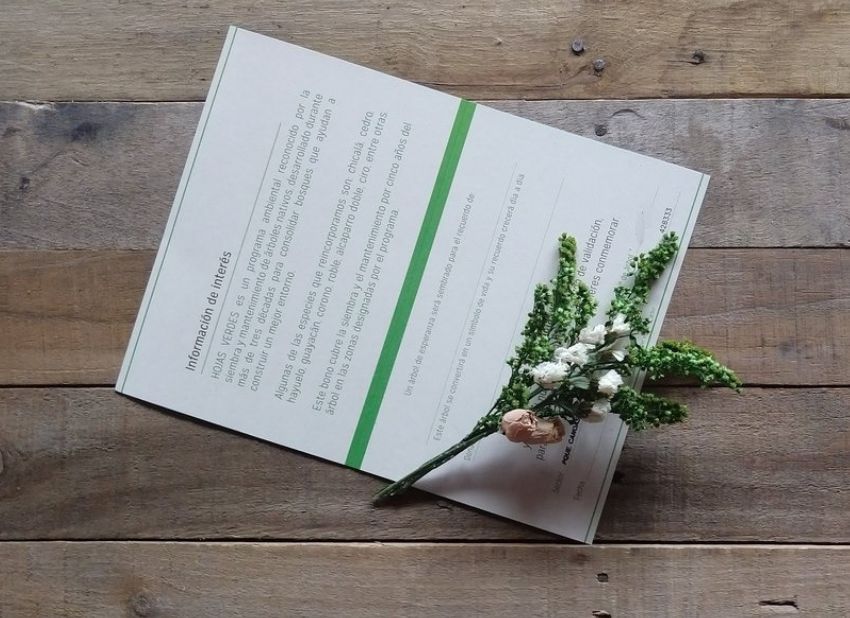 comprar hojas verdes condolencias